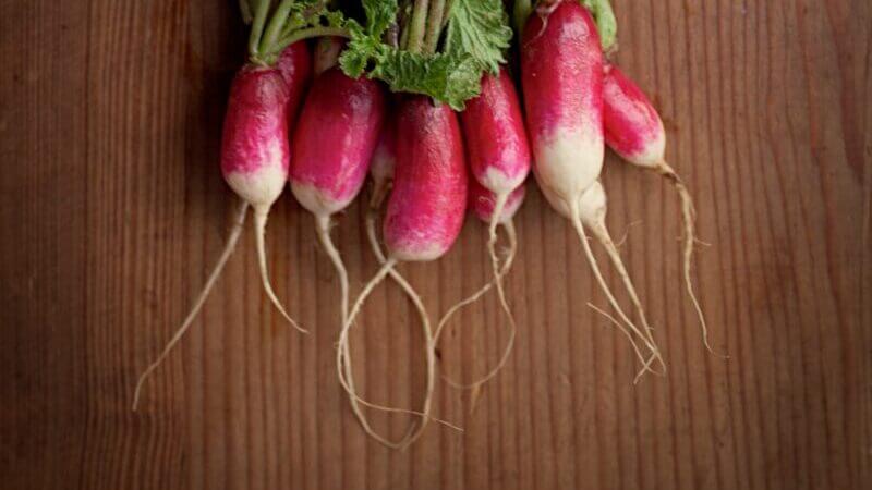 radish